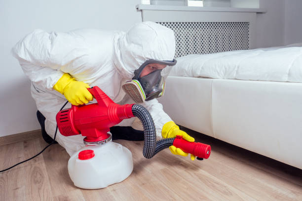 Insect Control in Comfort, TX