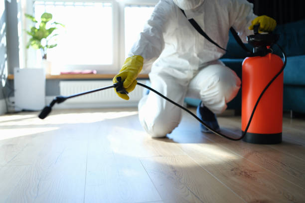 Wasp Removal Services in Comfort, TX