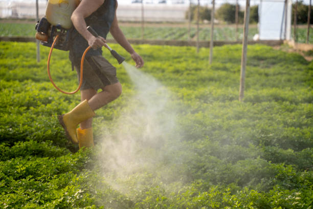 Pest Control Cost in Comfort, TX