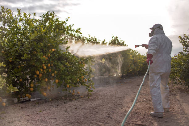 Best Best Pest Control Companies  in Comfort, TX
