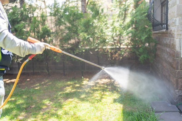 Professional Pest Control in Comfort, TX