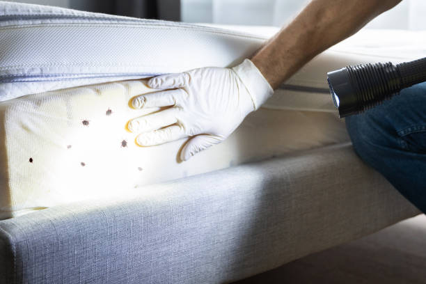 Best Best Pest Control Companies  in Comfort, TX