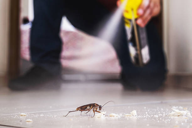Best Pest Control for Homes  in Comfort, TX