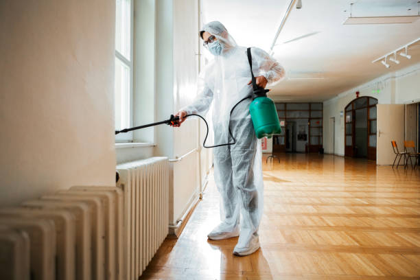 Best Pest Prevention Services  in Comfort, TX