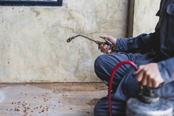 Best Affordable Pest Control Services  in Comfort, TX